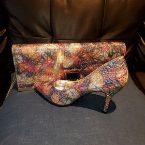 Shoes and matching bag/clutch